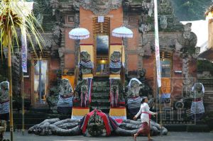 Monkey Temple 179  2 wm.jpg